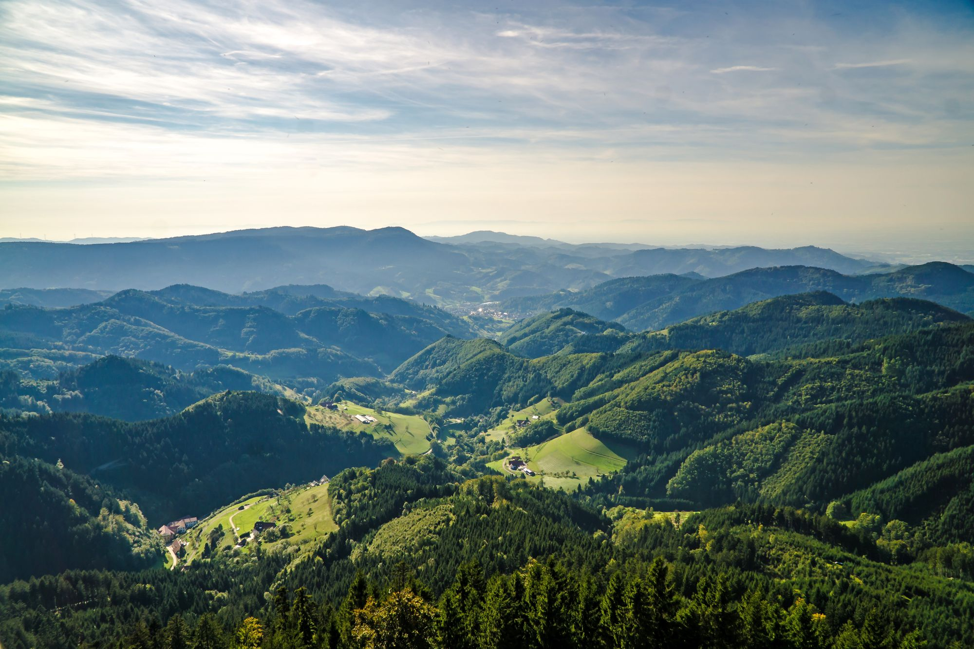 Schwarzwald - Natur erleben